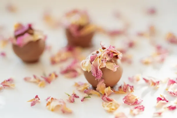 Palm Slots Casino Android/iOS App